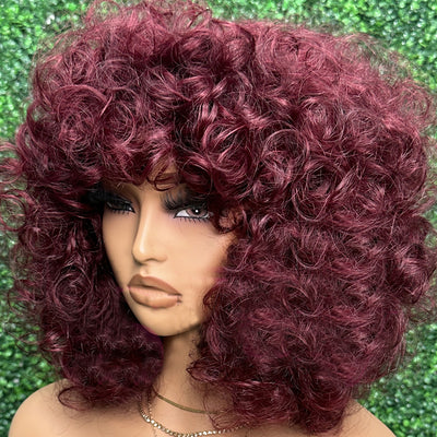 Raw Indian Human Hair Wig with Bang  Short Bouncy Curly Glueless Wig by Lyno Beauty